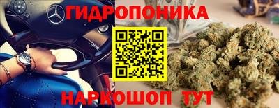 мяу мяу мука Будённовск