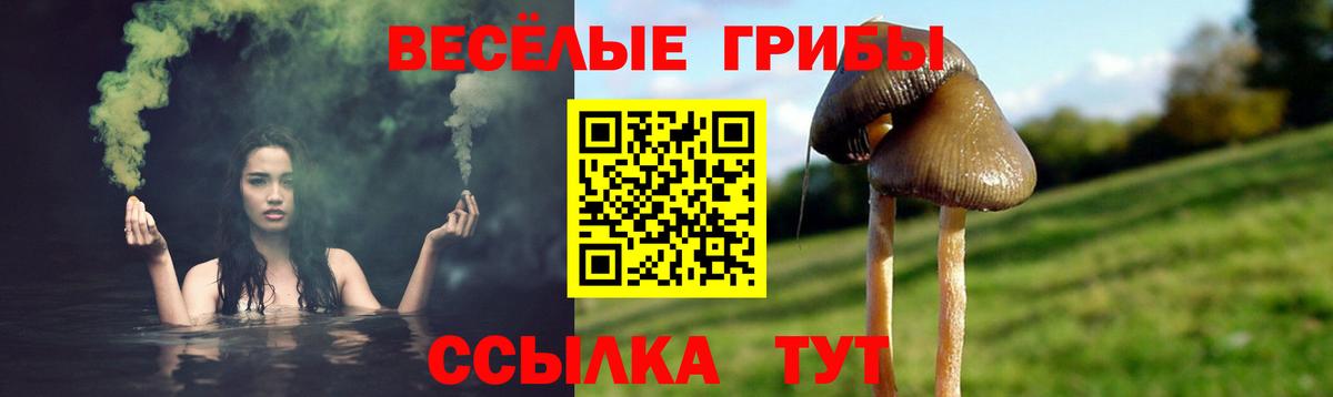 Калач-на-Дону  Псилоцибиновые грибы Magic Shrooms  Вход с VPN  Галлюциногенные грибы мицелий 